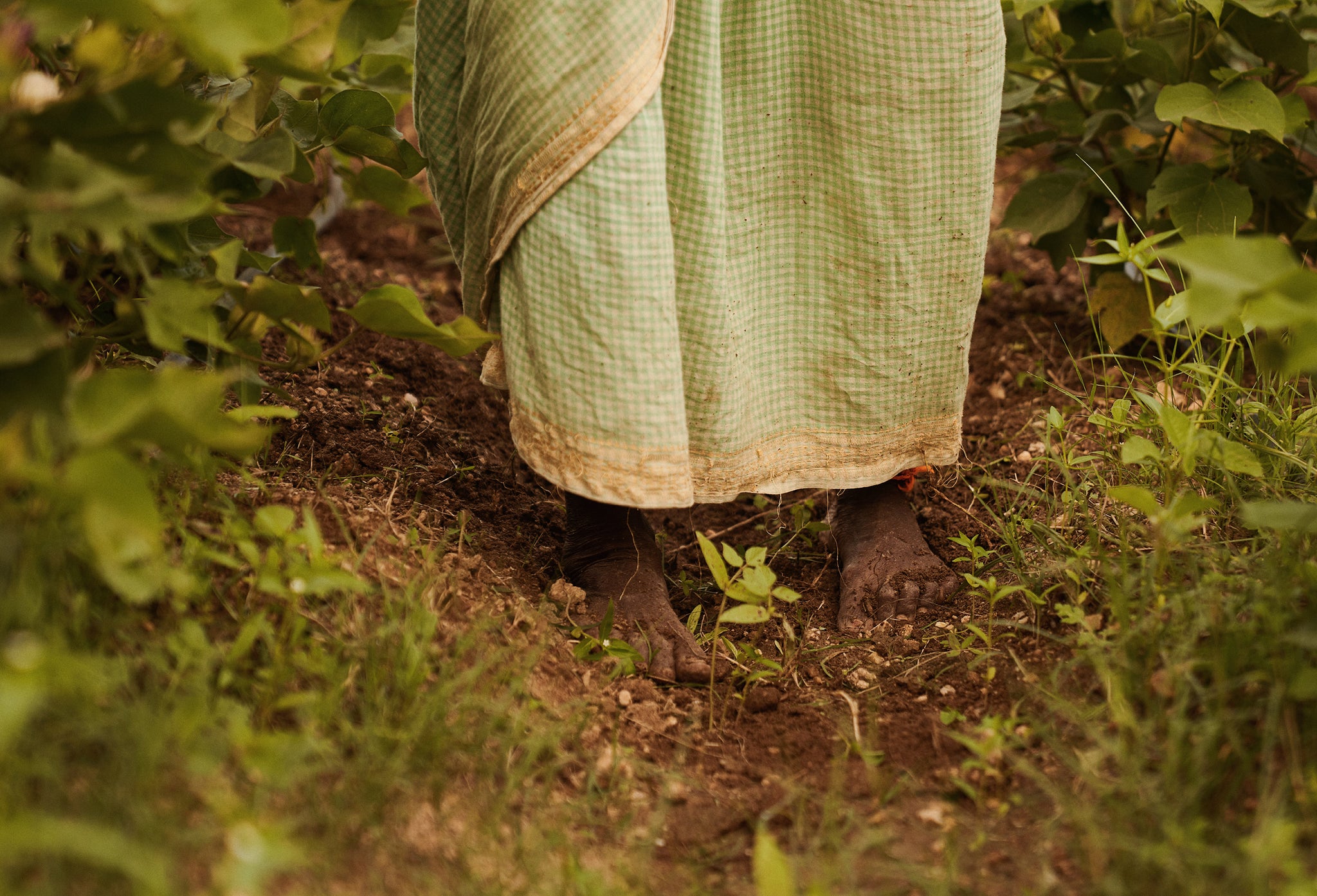 Farm-to-Closet Initiative - Month Three
