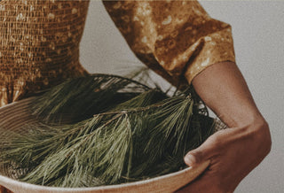 Making Pine Needle Tea with Alyson Morgan